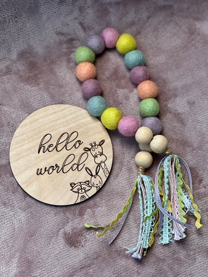 Animal Baby Monthly Milestone Set