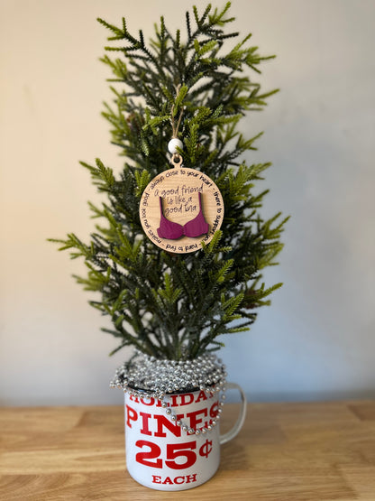 A Good Friend Is Like a Good Bra